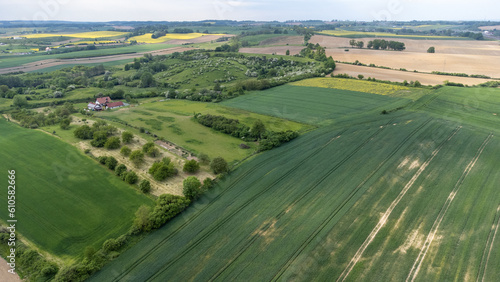 Aerial view  general landscape with green fields of grains and trees.