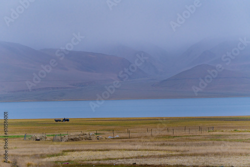 grasslands, Lake Moriri, mountains, cloudy sky. Beautiful scenery at the mountain lake, Ladakh, India