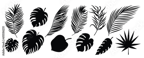 Collection of silhouette leaf elements. Set of tropical plants, leaf branch, palm, monstera leaves, foliage. Hand drawn of botanical vectors for decor, website, graphic, decorative.