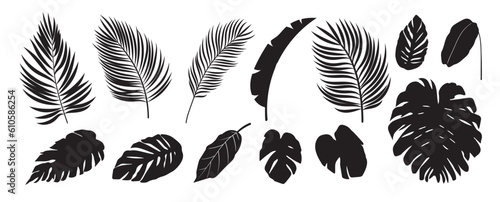 Collection of silhouette leaf elements. Set of tropical plants, leaf branch, palm, monstera leaves, foliage. Hand drawn of botanical vectors for decor, website, graphic, decorative.