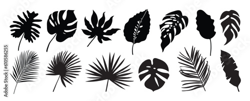 Collection of silhouette leaf elements. Set of tropical plants, leaf branch, palm, monstera leaves, foliage. Hand drawn of botanical vectors for decor, website, graphic, decorative.