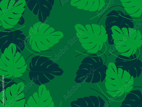 Abstract foliage and botanical background. Green tropical forest wallpaper of monstera leaves, palm fronds, branches with hand drawn pattern. Exotic plant background for banners, prints, decorations.