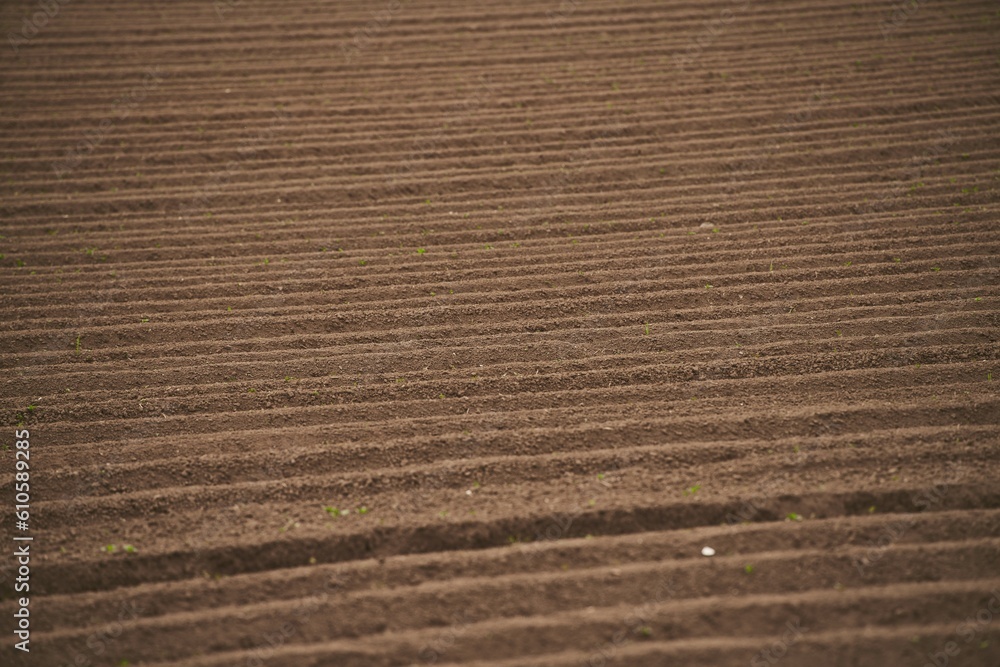 Fototapeta premium The agricultural landscape showcases the vast expanse of the field, which is prepared for farming and cultivation. The soil, rich and fertile, is the foundation for agricultural practices.