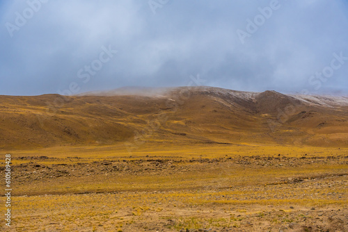 grasslands, mountains at Puga hot springs of chumathang in ladakh