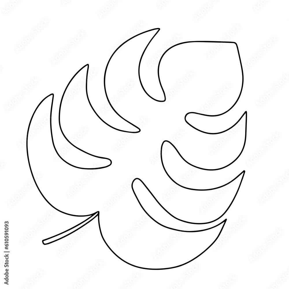 Monstera leaf doodle sketch. Hand drawn vector monstera leaf Monstera leaf doodle sketch. Hand drawn vector monstera leaf