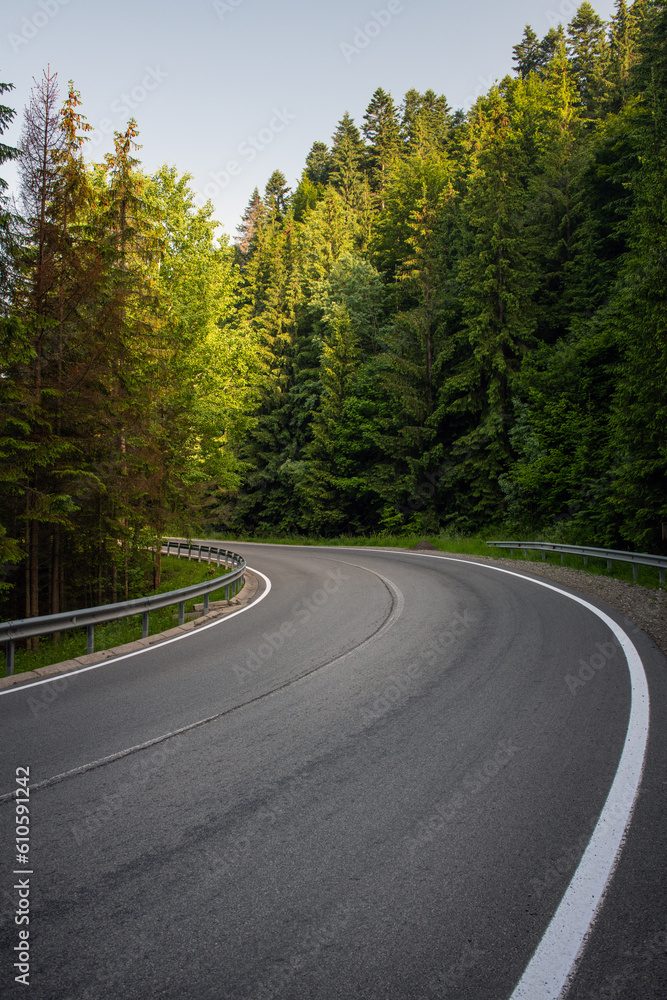 Fototapeta premium Road bend in summer forest