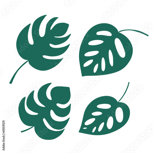 Different kinds monstera leaves set. Flat style mostera leaves set