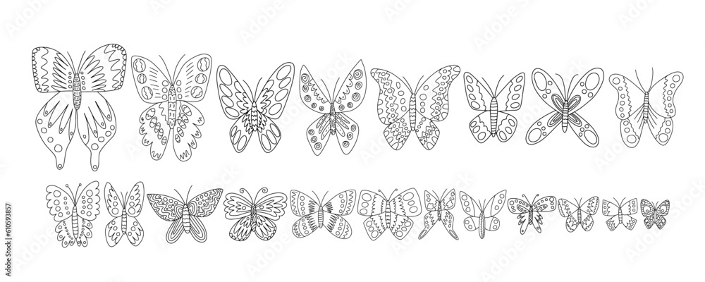 Different kinds butterflies vector hand drawn set. Black and white butterflies doodle set. Cabbage, peacock butterfly and purple emperor Different kinds butterflies vector hand drawn set. Black and white butterflies doodle set. Cabbage, peacock butterfly and purple emperor