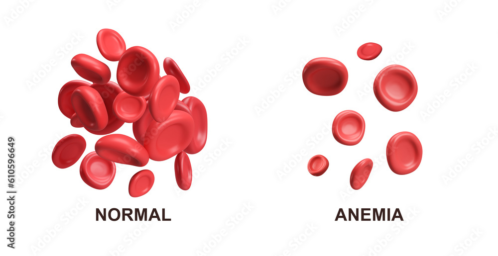 3d flow red blood cells iron platelets erythrocyte. Normal and Anemia