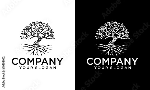 Circle tree logo icon template design. Round garden plant natural line symbol. Green branch with leaves business sign. Vector illustration.