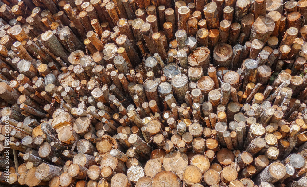 Lumber stack Lumber stack
