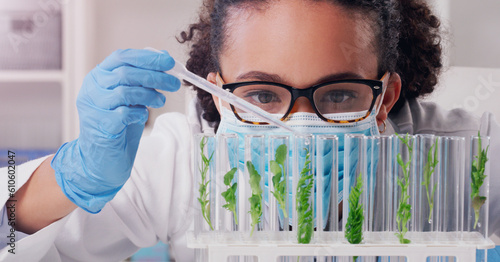 Science, biotechnology and plant with woman in laboratory for medical, pharmacy or research. Chemical, botany and healthcare study with scientist and test tube for sustainability, ecology or medicine