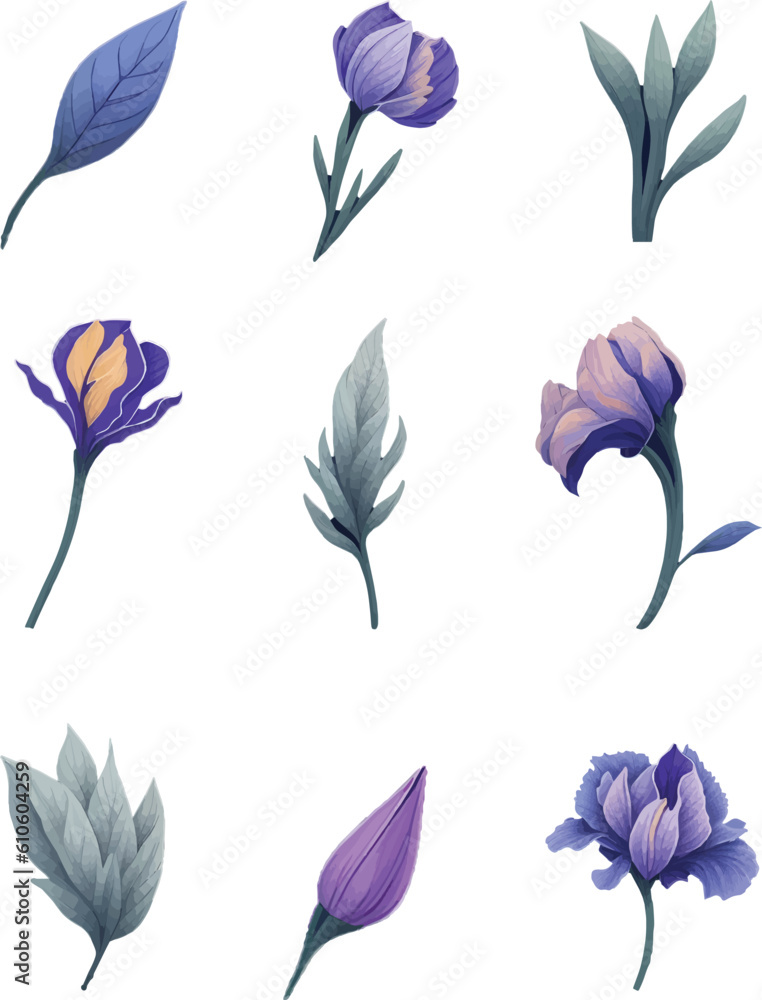 Obraz premium Iris Flower Set, Watercolor Flower Vector Design Set