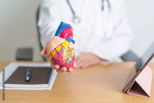 Doctor with human Heart anatomy model and tablet. Cardiovascular Diseases, Atherosclerosis, Hypertensive Heart, Valvular Heart, Aortopulmonary window, world Heart day and health concept photo