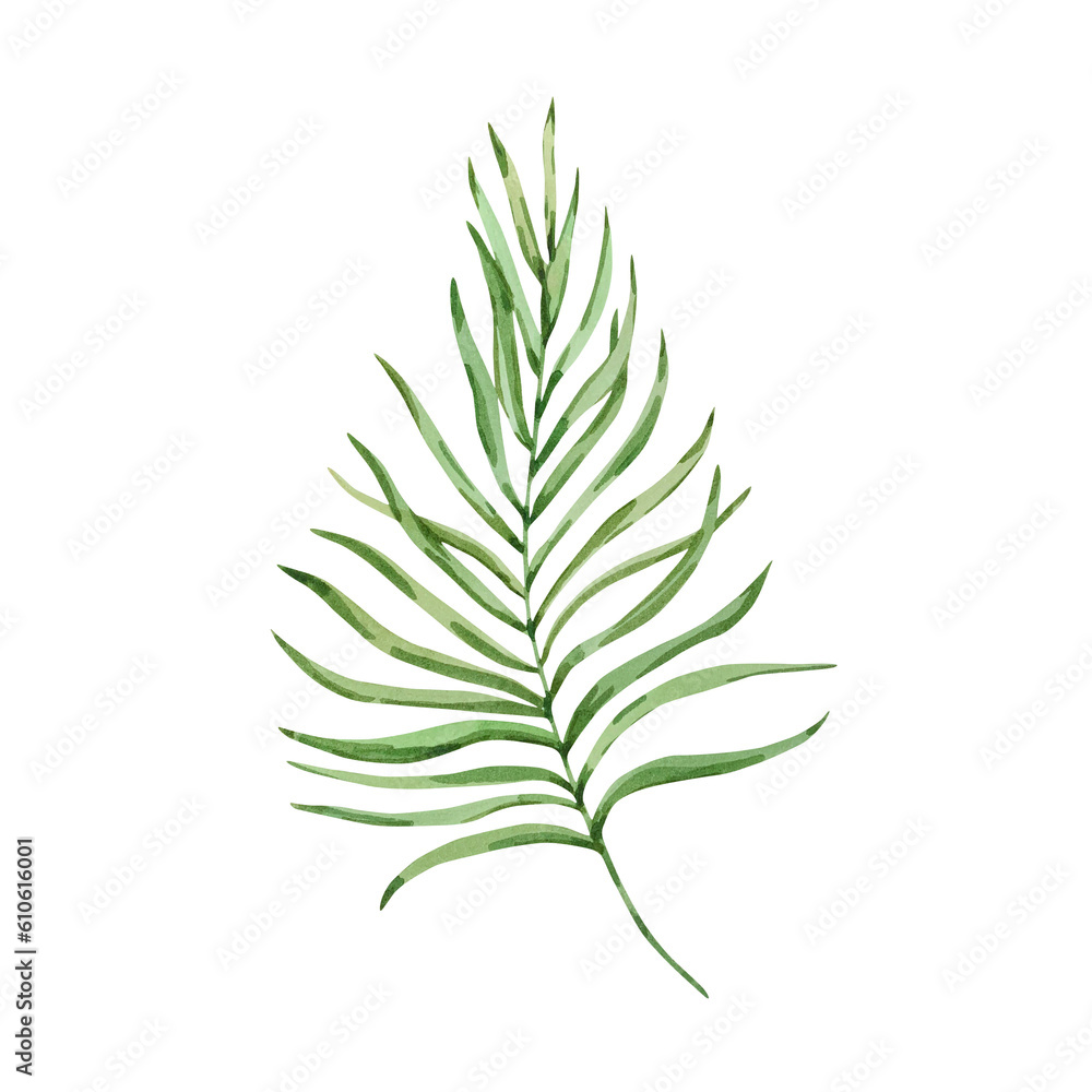 Watercolor bright green tropical leaf Watercolor bright green tropical leaf