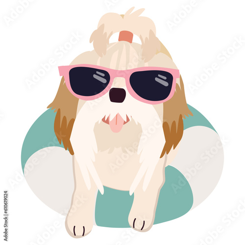Happy shih tzu dog with sunglasses and floating ring, air mattress for summer