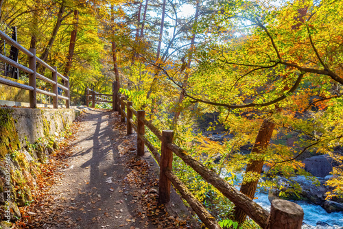 Autumn in Japan. Kofu park....