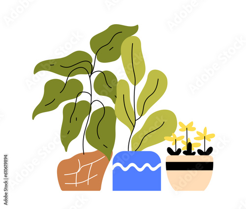 Botanical garden flowerpots concept. Plants and flowers in pots. Elements of decor and interior. Poster or banner. Cartoon flat vector illustration isolated on white background