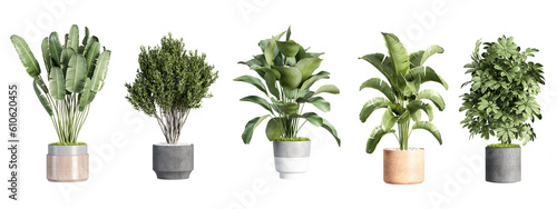 Plants in 3d rendering. Beautiful plant in 3d rendering isolated isolated	
