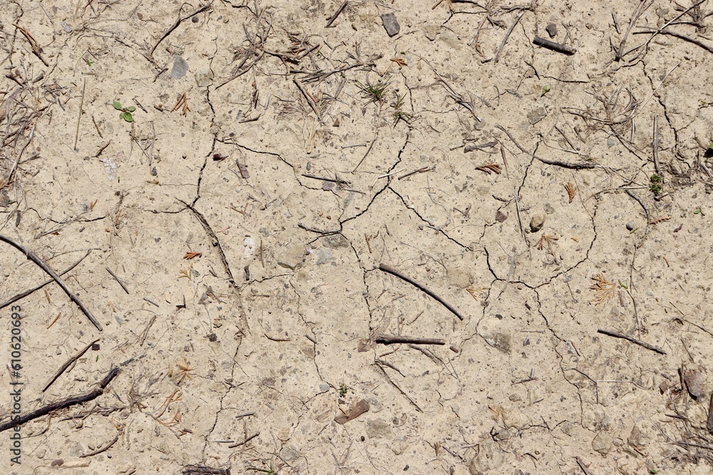 Fototapeta premium A close view of the hard dirt ground surface.