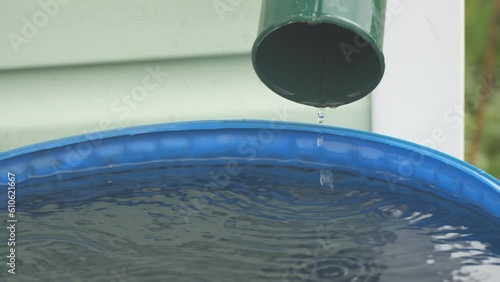 Water drips down the drain pipe after the rain into a blue plastic barrel