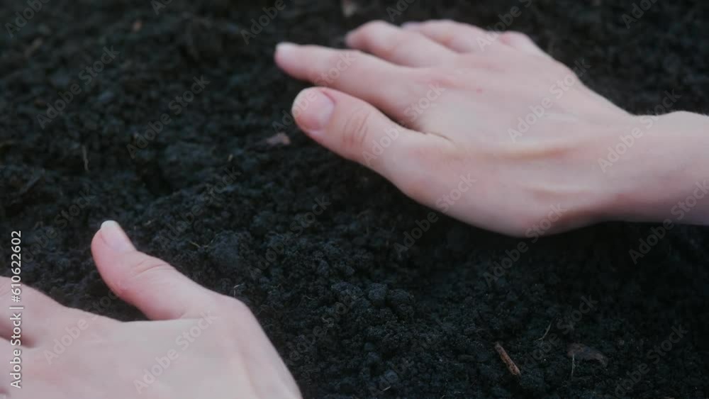 Fertilizing with love and care. Human hands gently touch the loose soil. Female palms carefully touch the freshly plowed land and stroke the fertile soil before planting the future crop. Women's hands Fertilizing with love and care. Human hands gently touch the loose soil. Female palms carefully touch the freshly plowed land and stroke the fertile soil before planting the future crop. Women's hands