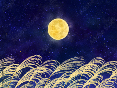 Full moon and Japanese pampas grass field drawn with digital watercolor photo