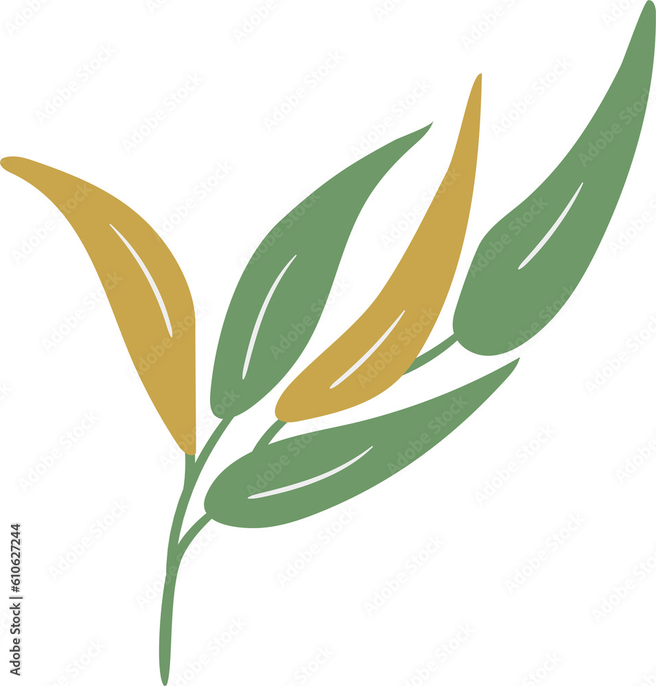plant leaves 71 plant leaves 71
