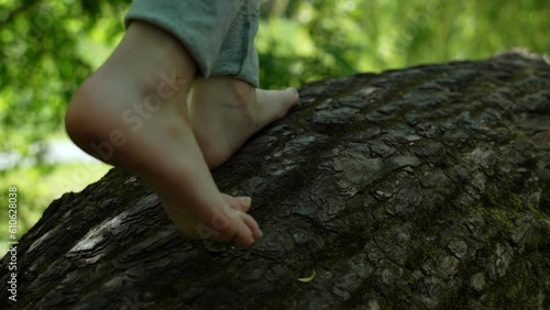 Little girl's feet walk on a wooden tree. Close-up of children's feet walking on a wooden surface in the park.  