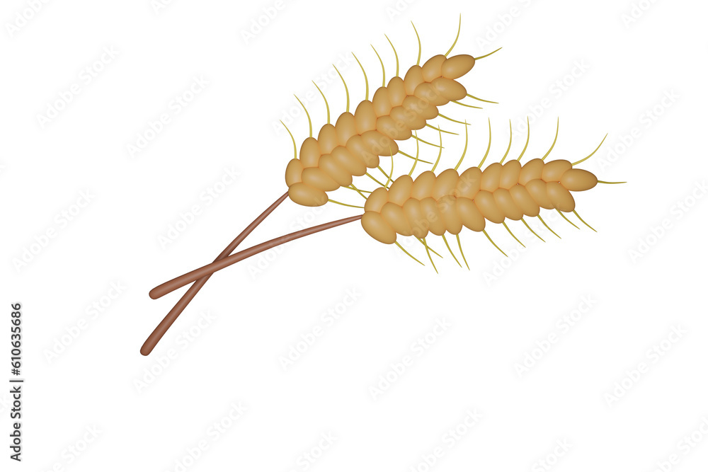 Jasmine rice in burlap sack bag with paddy rice isolated. Png Jasmine rice in burlap sack bag with paddy rice isolated. Png