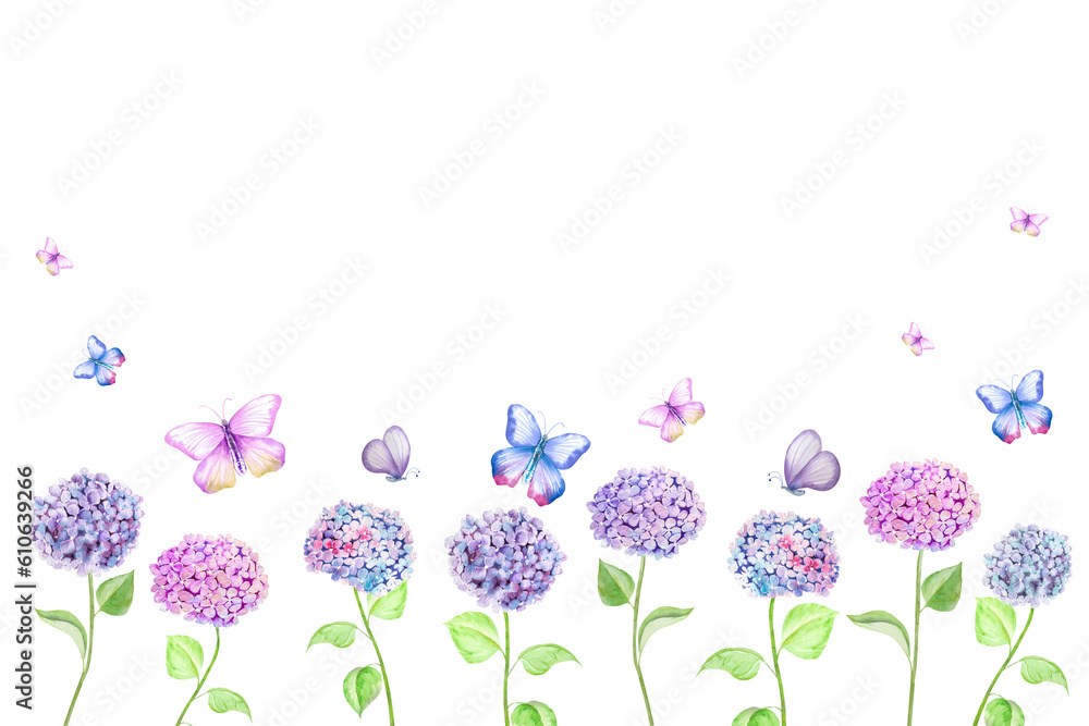 Watercolor drawing of a beautiful bouquet of hydrangeas and butterflies. Hand drawn hydrangea botanical illustration. Watercolor drawing of a beautiful bouquet of hydrangeas and butterflies. Hand drawn hydrangea botanical illustration.