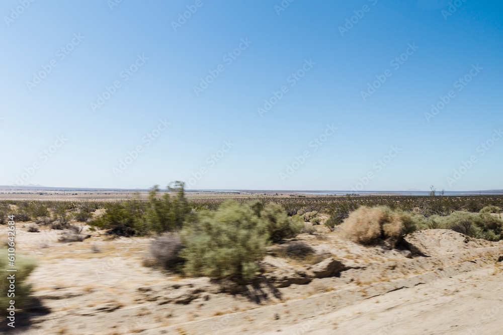 Road scenery, united states