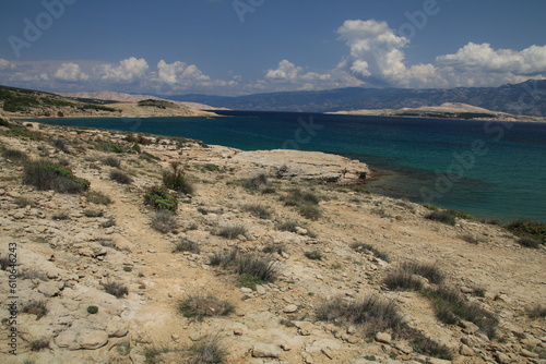Fototapeta Naklejka Na Ścianę i Meble -  Stolac naturist stony beach on the island of Rab in Croatia