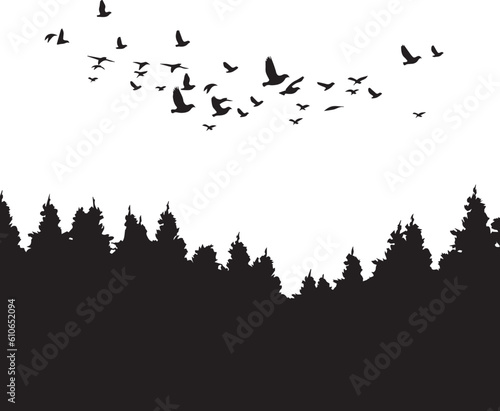 Black vector flying birds flock silhouettes isolated on white background