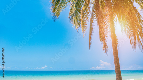 Tropical beach and coconut palm tree with blue sky background.