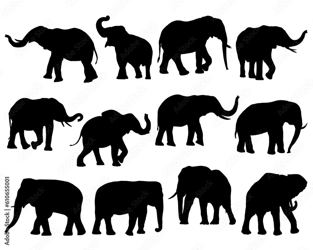 Set of Elephants Silhouette, Wild Animal Set of Elephants Silhouette, Wild Animal