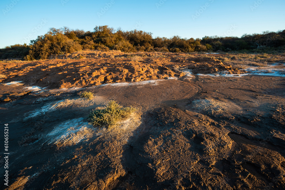 Semi desert environment landcape, La Pampa province, Patagonia, Argentina.