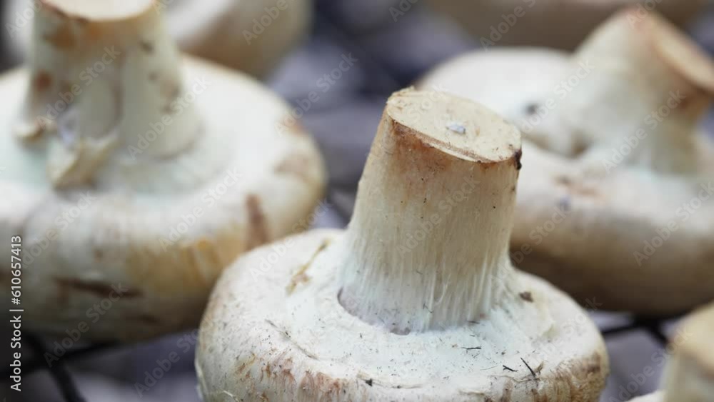 Mushrooms on a grill for frying on an open fire. Mushrooms on a grill for frying on an open fire.