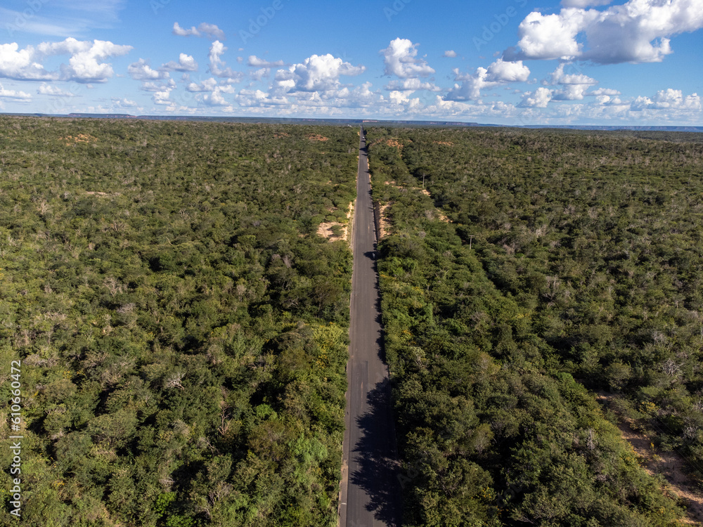 Obraz premium Small highway in the Brazilian savannah in a beautiful autumn sunset