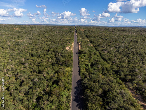 Small highway in the Brazilian savannah in a beautiful autumn sunset