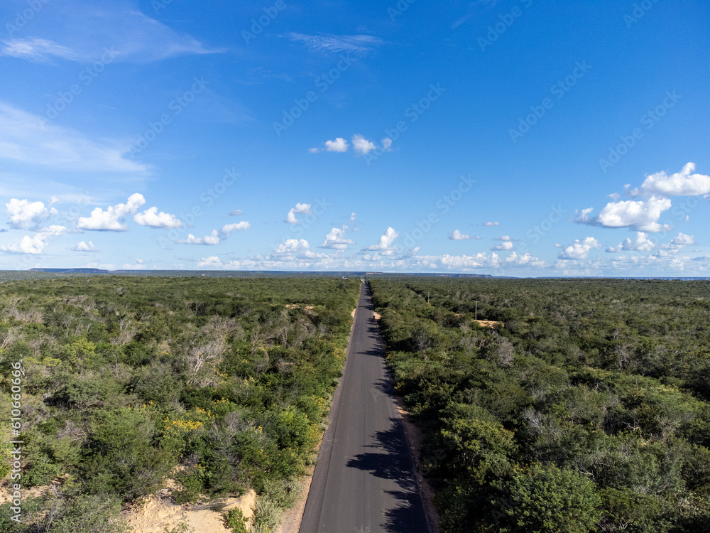 Φωτογραφία Small highway in the Brazilian savannah in a beautiful autumn sunset