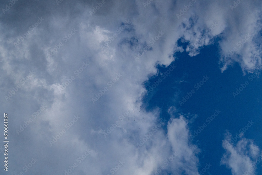 Obraz premium clouds in the sky