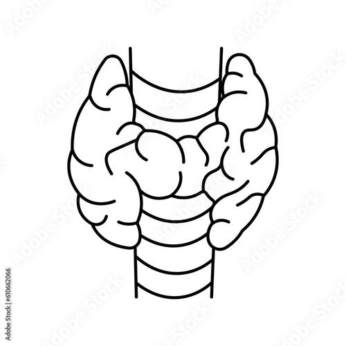 Thyroid, anatomy flat line icon. Human thyroid