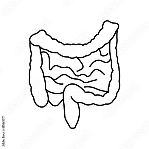 Intestine, anatomy flat line icon. Human Intestine