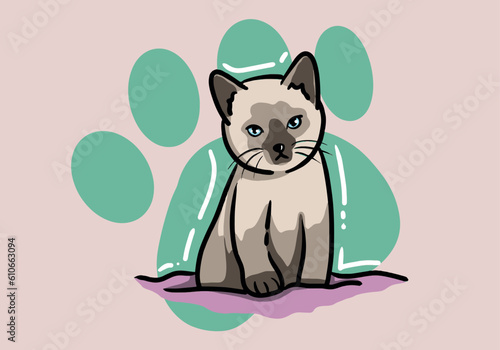 Fototapeta Naklejka Na Ścianę i Meble -  Cute hand drawn siamese cat, fluffy fur, and exaggerated features. Cute adorable big eyes kitty kitten cat