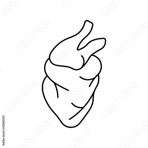 Heart, anatomy flat line icon. Human heart.