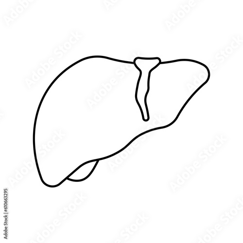 Liver, anatomy flat line icon. Human liver.