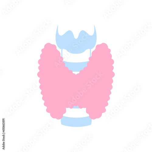 Thyroid gland lobes icon. Thyroid hormones function test. Endocrine system. Hyperthyroidism and hypothyroidism diseases. Overactive and underactive organ. Anatomy diagram. Flat vector illustration.
