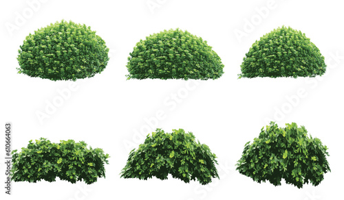 set of bush grass shrub illustration vector transparent background eps 10