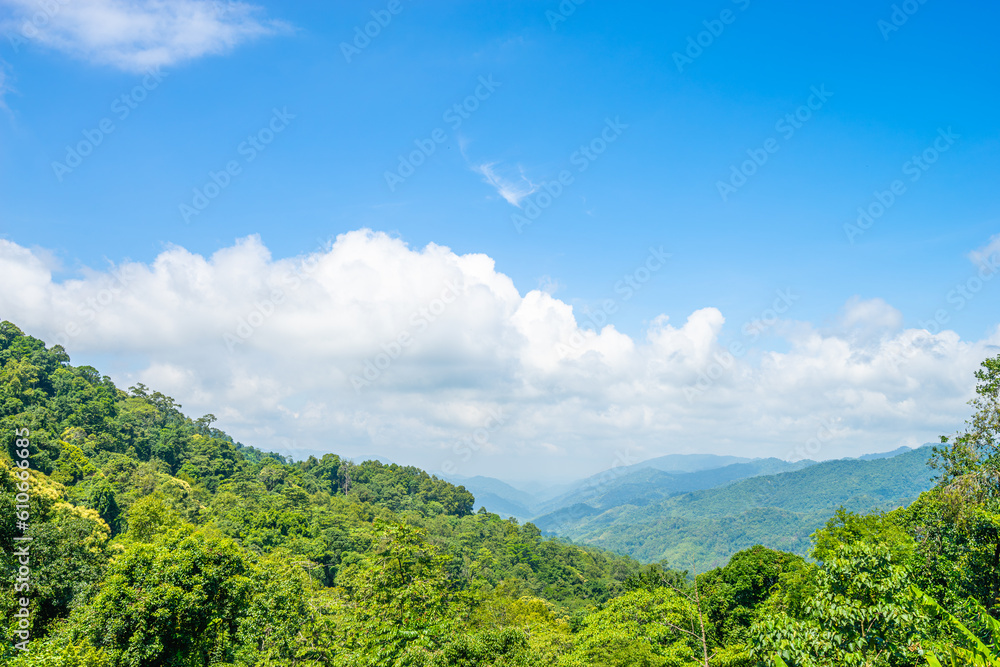 Beautiful mountain scenic in the view of valley with the green forest